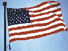 United States Flags
